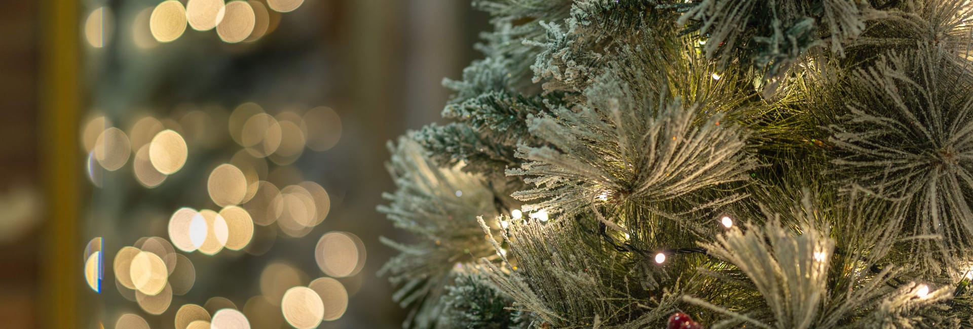 Christmas Events at Stallingborough Grange